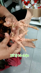 combo trị ké chậu ún lườn viêm khớp gối sưng củ bàn trên gà