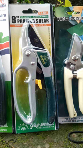 GUNTING DAHAN PRUNING