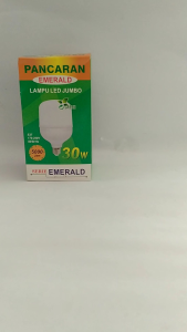 Lampu LED 30 Watt Putih Pancaran Bohlam Neon Eceran Grosir