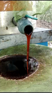 madu murni multiflora asli 100% tanpa campuran Grade A