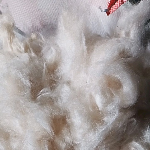 KAPUK RANDU GRADE A PUTIH BERSIH TANPA BIJI