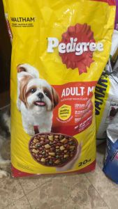Pedigree Adult / Adult Mini Dry Dog Food Beef and Vegetable Flavor 20kg Repacked 1kg/500g