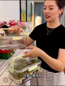 OHHDEER Refrigerator Storage Box Handheld Crisper Box Organizer Fresh Vegetable Fruit Food Boxes Storage Container