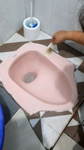 Pembersih Toilet untuk Semua Jenis: Sonic & Efektif