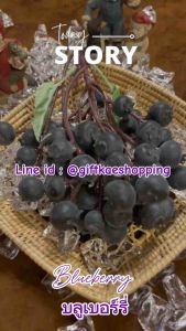 บลูเบอร์รี่ปลอม (วัสดุผลิตจากโฟม) ช่อบลูเบอร์รี่