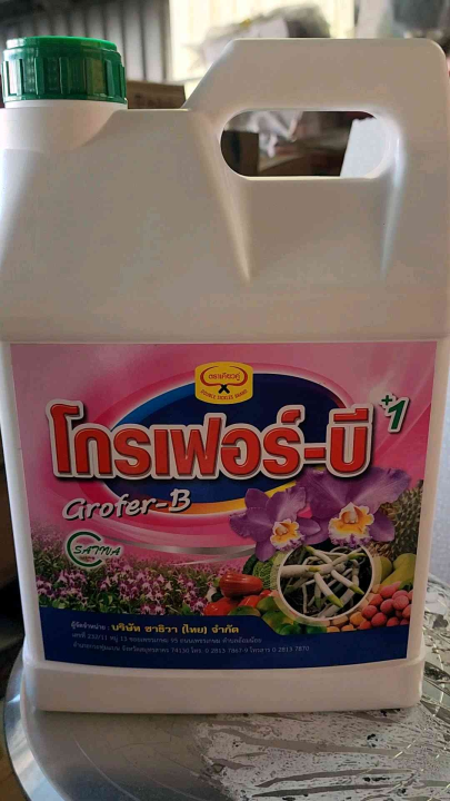 Phân bón lá Grofer B1, cung cấp chất dinh dưỡng cho cây lan, phục hồi ...