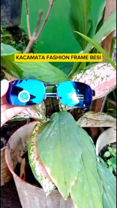 Kacamata Hitam Pria Wanita Frame Aviator UV400 Lensa Pelangi Model Kotak Pria Wanita POROHE 6005 CM KP Sunglasses Tangkai Lentur Fashion Berkendara