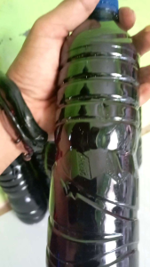 Xtrak daun ketapang super pekat isi 600 ml