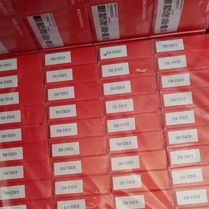 Paket Hemat 10 PCS Laher 6302 RS & Bola Ball 6202 RS