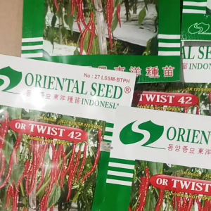 Benih Cabai OR 42/ OR TWIST42 F1