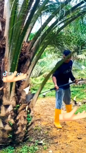 DODOS SPP777 TANPA ASAHH hitam KUALITAS ORIGINAL