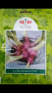 Benih Bibit Bawang Merah LOKANANTA isi 10 gr