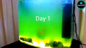 SunSun 4 IN 1 Filter JUP-01 JUP-02 UV Sterilizer Oxygen Aerator Submersible Filter Pump for Fish Tank Aquarium
