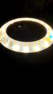 Quạt trần kiêm đèn trần CIRCULIGHT DSLS60CLW hàng si Nhật