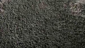 Sinh khối trùn quế giống (túi 5kg) bán rẻ lấy tương tác