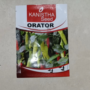 Benih Cabe Rawit Si Gantung ORATOR 10 GRAM KANISTHA SEED