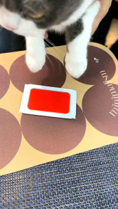 Littlepawty - Pet Paw Print Ink Pad With Frame | Bantalan Tinta Cap Telapak Kaki Anabul Anjing Kucing Pajangan