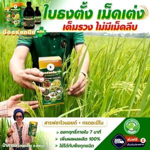 บีออร์แกนิคพลัส ฮอร์โมน สารบำรุงพืช ขนาด 500 ซีซี (1 ขวด ฉีดได้ 50 ไร่)