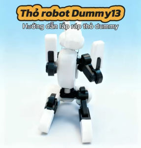 Mô hình lắp ráp thỏ robot dummy 13 kèm phụ kiện thay thế khớp cử động linh hoạt - Inno3d