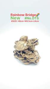 DRAGON TURTLE (New-Small) #No.DTS #SIZE: 6cm #881