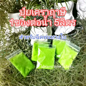 ปู่ทิลแลนเซีย ผ่านเทคโนโลยี 3D สำหรับเผาใบหน้าด้วย ปู่เกล็ดเพิ่มความสมบูรณ์ 1ซองต้นเขียวฟู แตกหน่อไว 5ลิตร