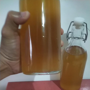 air kombucha 500ml premium original