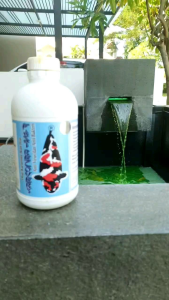 FAST RECOVERY 100ML | ANTI VIRUS & ANTI BAKTERI IKAN | PEMBASMI SEGALA PENYAKIT IKAN | LUKA BOROKAN | AEROMONAS SISIK KEMBANG MERAH | BADAN MERAH | PEMBUSUKAN INSANG