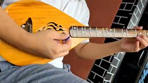 พิณโปร่งไม้ขนุน ทำจากไม้ชิ้นเดียว คัดสรรไม้ อย่างดี ใส่เหล็กขันคอ ลูกบิด สแตนเลสแบบดี