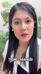 bột premix vỗ béo heo thịt 1kg – hỗ trợ tăng ăn phát triển thể trạng cải thiện ngoại hình heo