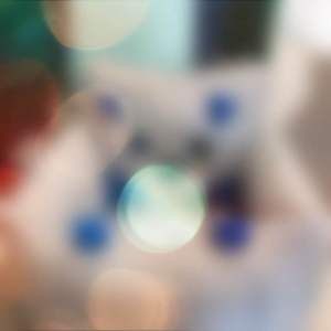 คาร์ซีทสามิติ สัตว์เลี้ยงน่ารัก