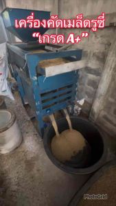 1 กิโลกรัม รูซี่ เมล็ดหญ้ารูซี่ พร้อมปลูก หญ้าลูซี่ หญ้าเลี้ยงสัตว์ หญ้า พันธ์ุหญ้า หญ้าเลี้ยงวัว