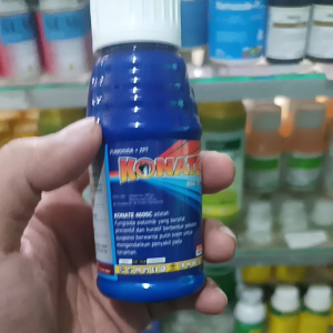KONATE 460SC 100ml | Asosistrobin + difenokonazol untuk tanaman | Fungisida + ZPT seperti Amistar