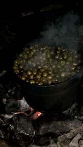 kolang Kaling segar 1 kg kolang Kaling super fresh bahan manisan buah aren kolang Kaling 1kg