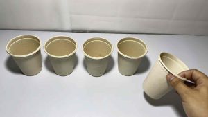 Bagasse 8oz Cup eco-friendly Sold Per piece By Drakes Packaging Supplies