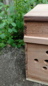 GUPON PAGUPON KANDANG BURUNG MERPATI DARA PERKUTUT JOMBO