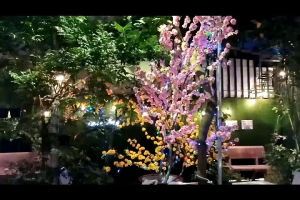 Gói hoa mai giả loại đẹp (36 bông/1 gói) giá rẻ