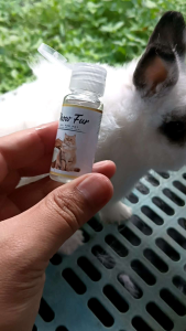 Minyak Kelapa Kucing Arnab menghalang Hama Kutu Mengemukkan 20ml 50ml