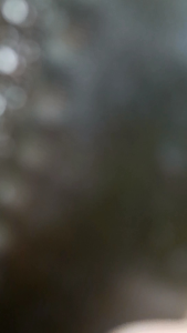 Golok sembelih HSS super full tank sarung kulit pisau jagal sembelih