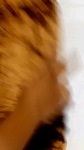 Sarung Celana Anak Praktis dan Tidak Ribet