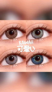 Softlens X2 Kawaii Brown Grey Blue Dia.14.5 mm Normal & Minus (0.50 s/d -6.00) Soflens Natural By Exoticon
