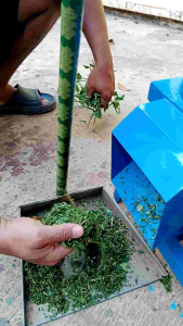 mesin cacah rumput pakan ternak