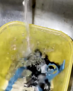 JAM TANGAN SKYMAX COUPLE ORIGINAL Standart Waterproof Anti Air 30 Meter