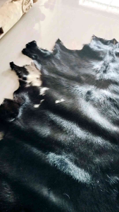 Kulit Kambing Samak An & Produk Kulit Asli