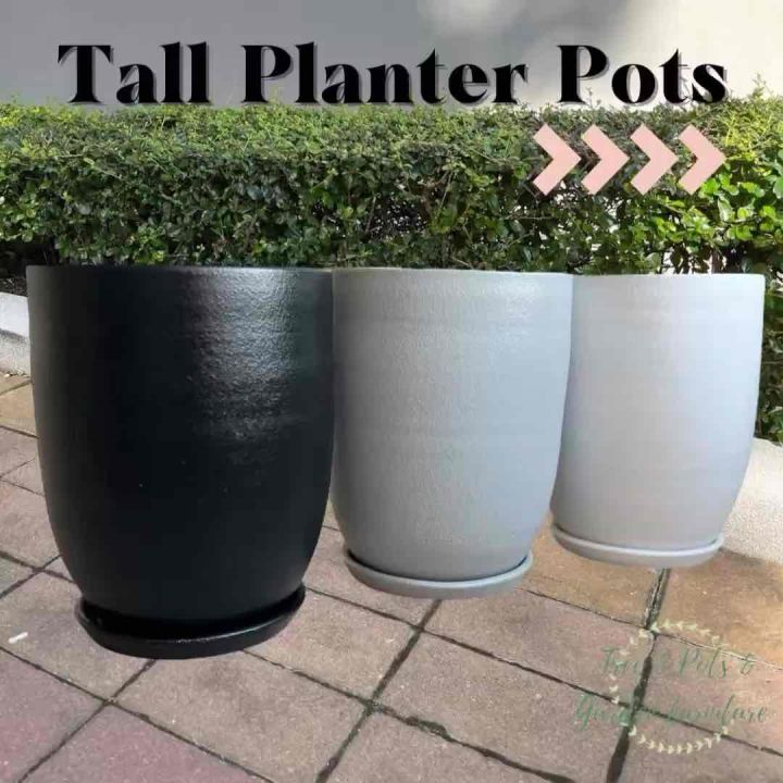 9 อันดับกระถางดินเผาสไตล์โมเดิร์น ยี่ห้อไหนดี? อัปเดตปี 2025 เนรมิตพื้นที่สีเขียวในบ้าน