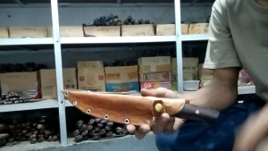 Pisau Dapur Baja Kekinian: Pemilihan & Penggunaan