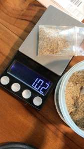 Ratjat ไข่ไรสยาม สำหรับเพาะเลี้ยงแบบน้ำเขียว และน้ำใส (น้ำหนักสุทธิ 1 กรัม)