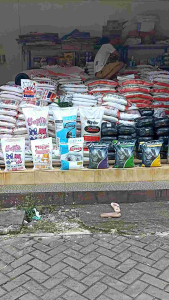 12 Liter GECKO Pasir Kucing Gumpal Wangi -Sudah diproses anti bakteri