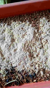 WHEAT BRAN | FEED GRADE | 3KG