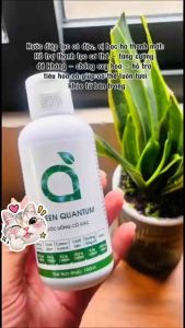 Green quantum cô đặc nước uống tăng cường sức đề kháng tăng hồng cầu bảo vệ sức khỏe chai 150ml