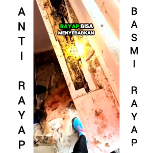 Pembasmi Rayap Teter Nonor Homeways Semprot Ampuh Alami Ramah Lingkungan